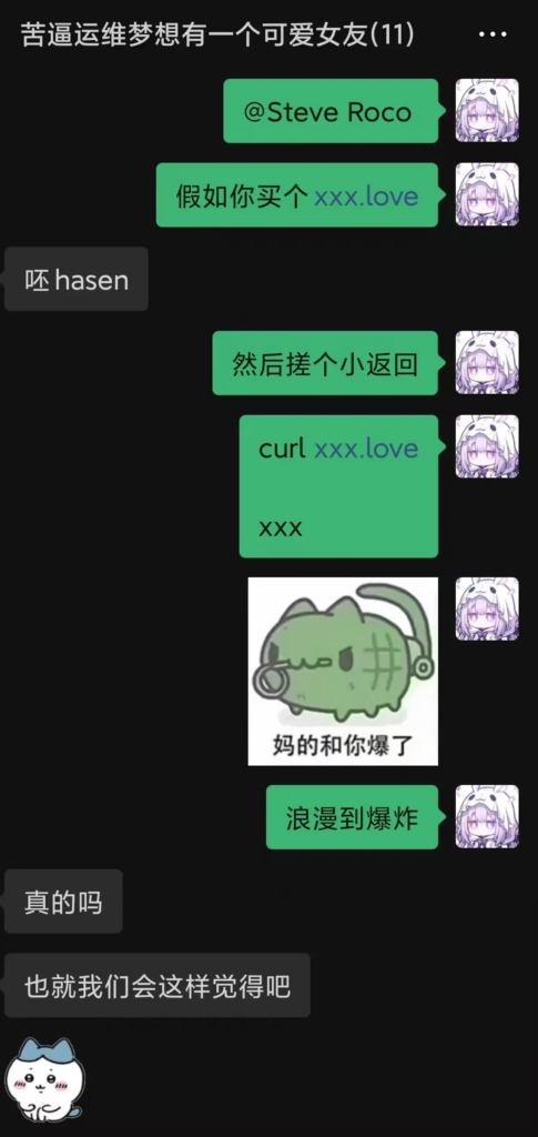 图片[2]-这可能就是网维的浪漫：一个域名和一个请求组成的浪漫时刻-皆成所忆